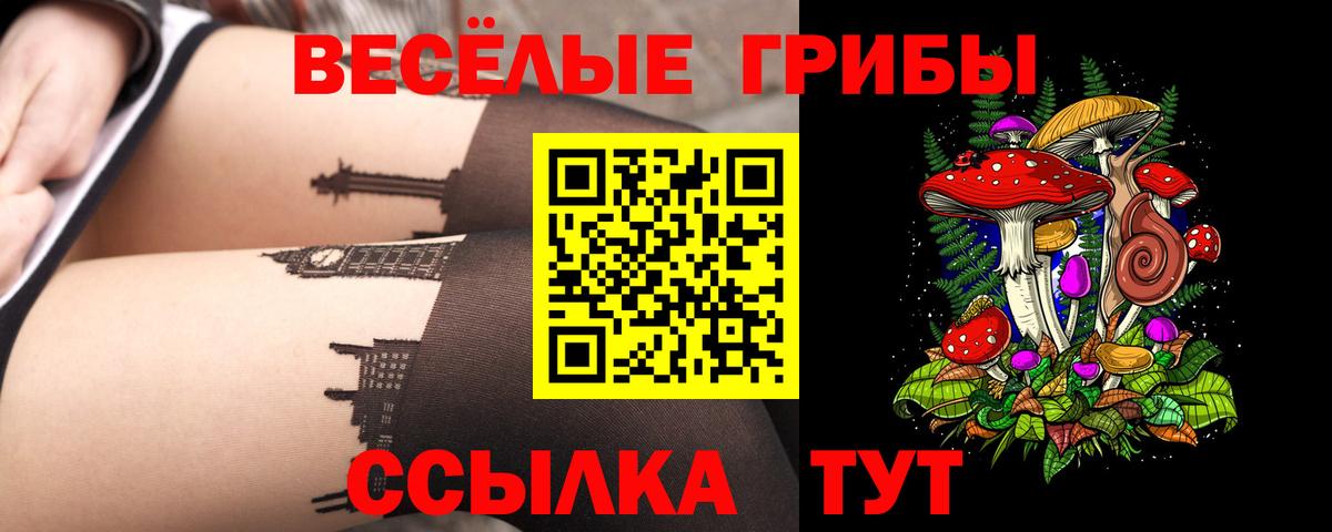Псилоцибиновые грибы ЛСД  Вход с VPN  наркошоп  Энгельс  Псилоцибиновые грибы мухоморы 