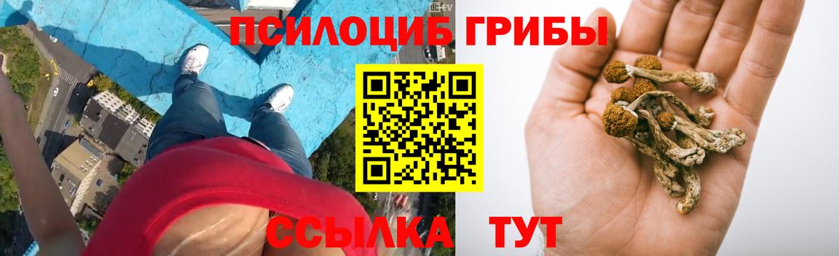 Галлюциногенные грибы Cubensis Энгельс